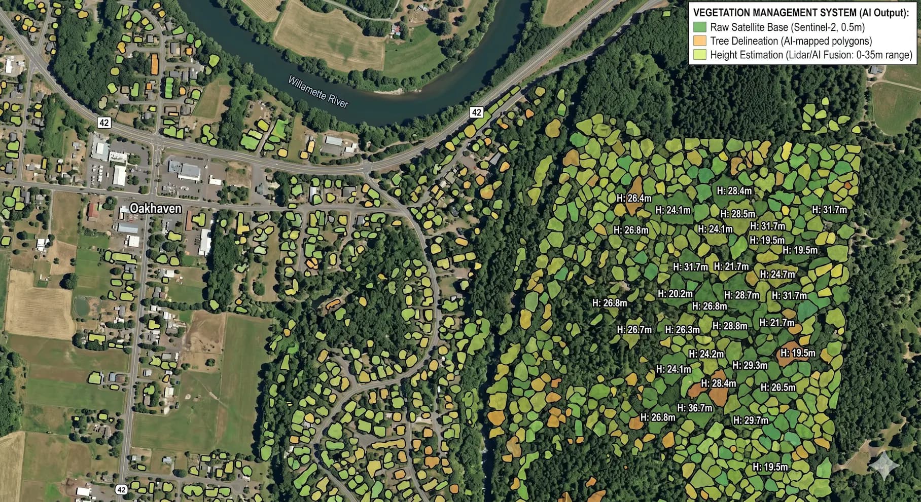 Vegetation Management & Risk Evaluation